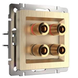 Акустическая розетка встраиваемая Werkel Шампань рифленый W1185010