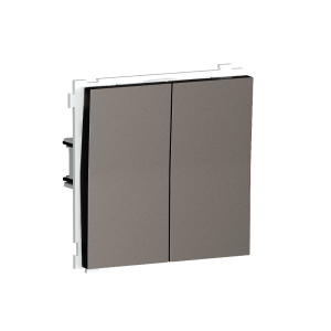 Выключатель двухклавишный встраиваемый проходной Donel R98 Сталь матовая DA10800-DA29537