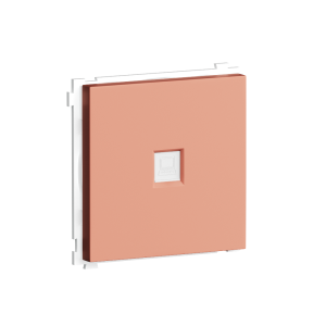 Розетка встраиваемая двойная Ethernet Donel R98 Коралл матовый DA16300-DA83945