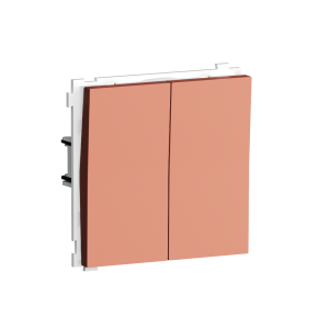 Выключатель двухклавишный встраиваемый Donel R98 звонкового типа Коралл матовый DA25100-DA29545