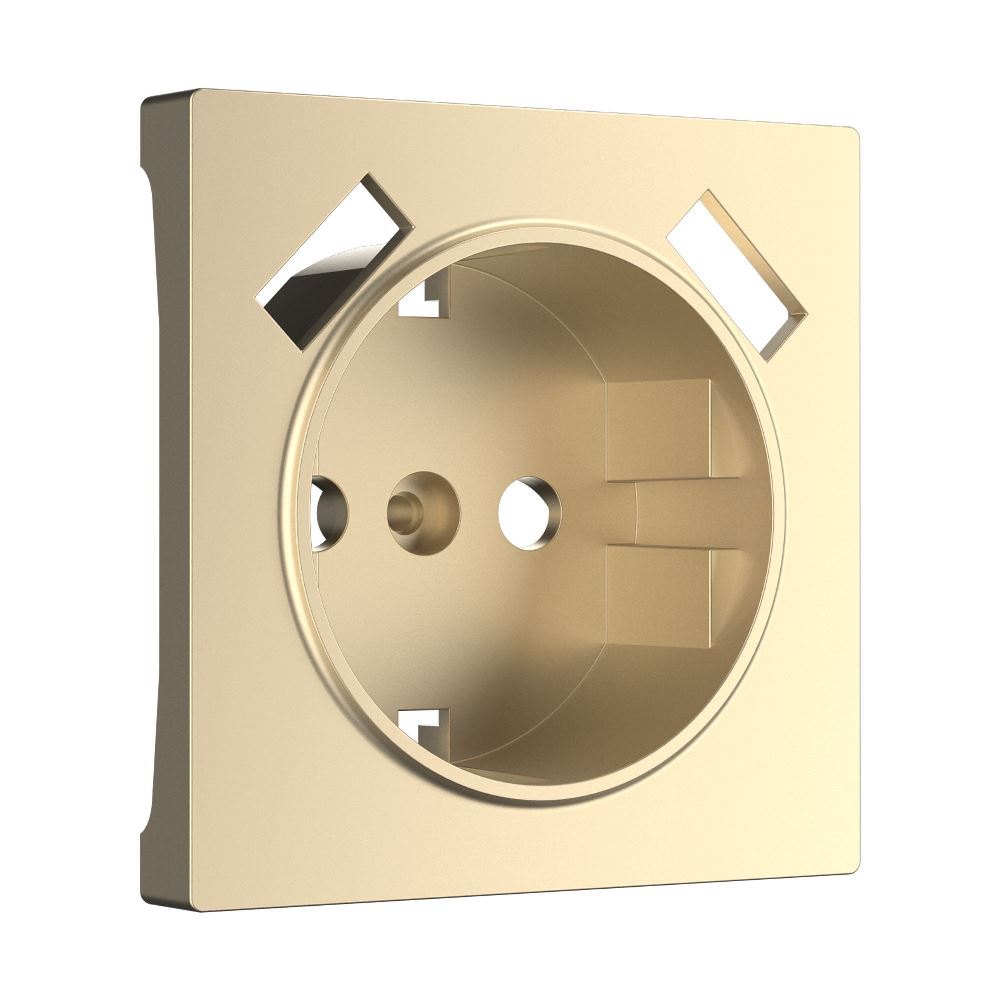 Накладка для розетки Werkel USB Шампань W1179511